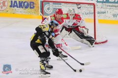 BayreuthTigers_SelberWoelfe_w_151