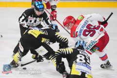 BayreuthTigers_SelberWoelfe_w_164