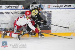 BayreuthTigers_SelberWoelfe_w_171