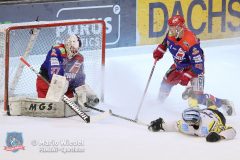 30.11.2021 Selber Woelfe vs. Bayreuth Tigers 4:6