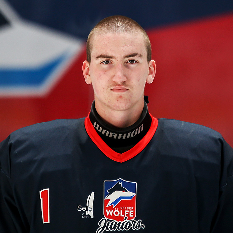 1 Bystricky, Vitek